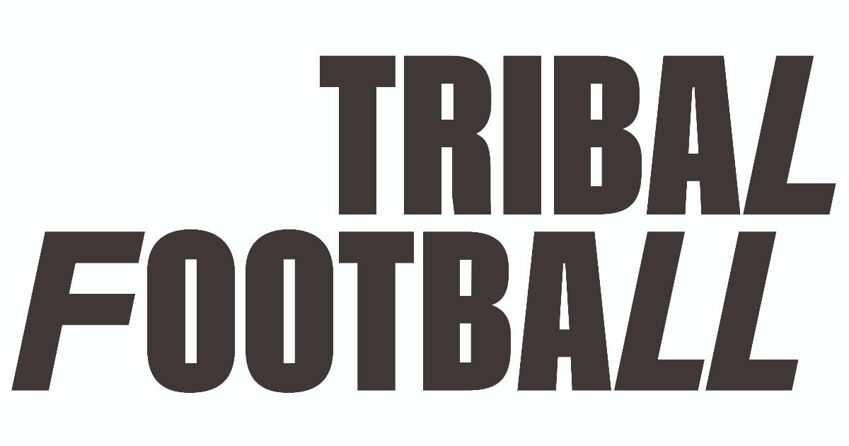 Логотип Tribal Football
