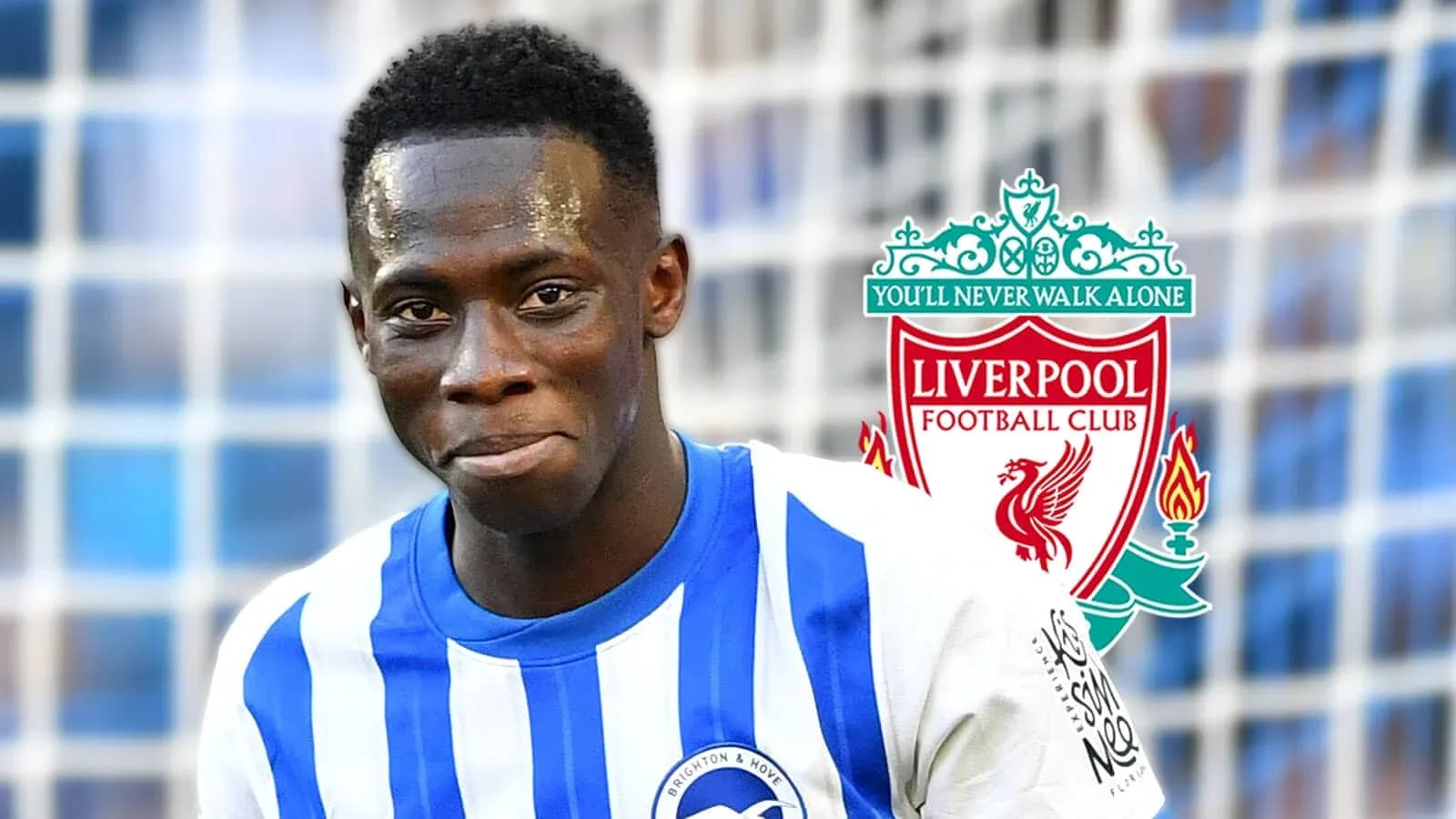 Игрок в форме Brighton & Hove с логотипом Liverpool Игрок в форме Brighton & Hove с логотипом Liverpool